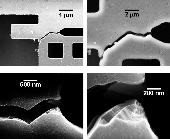 Reliability And Dissipation Phenomena in MEMS